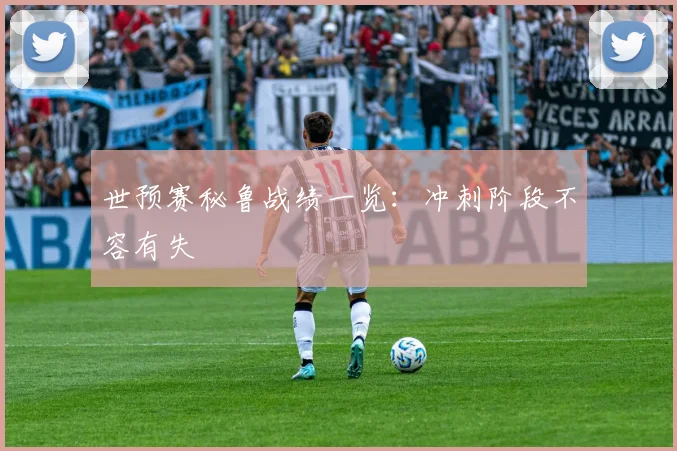 世预赛秘鲁战绩一览：冲刺阶段不容有失
