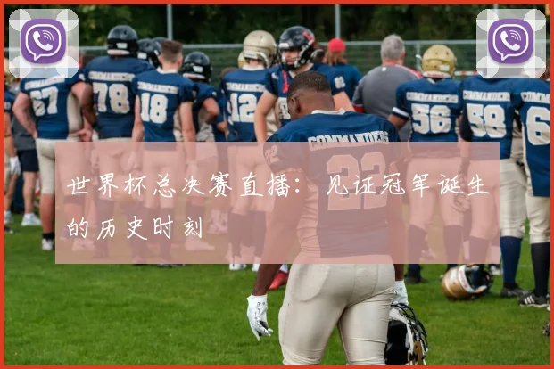 世界杯总决赛直播：见证冠军诞生的历史时刻