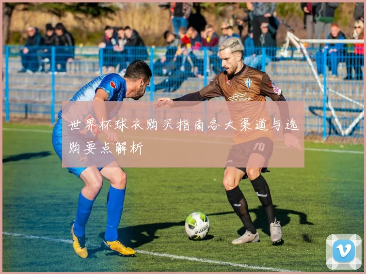 世界杯球衣购买指南各大渠道与选购要点解析