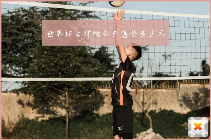 世界杯吉祥物公开售价多少元