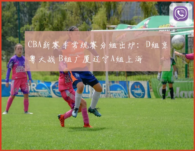 CBA新赛季常规赛分组出炉:D组京粤大战 B组广厦辽宁A组上海