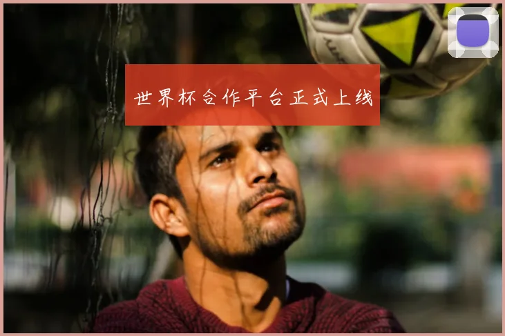 世界杯合作平台正式上线