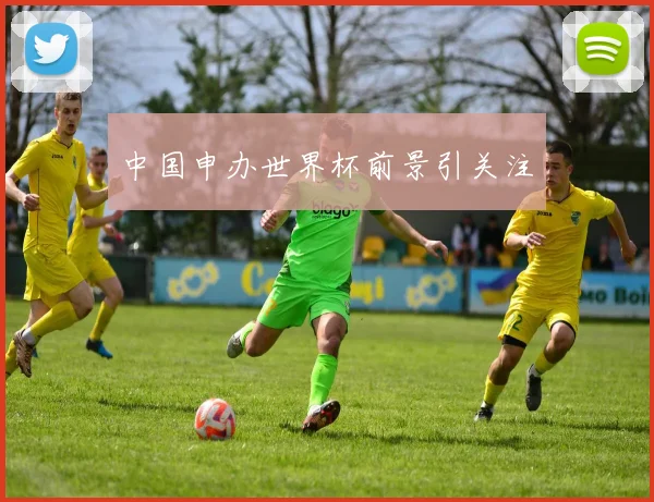 中国申办世界杯前景引关注