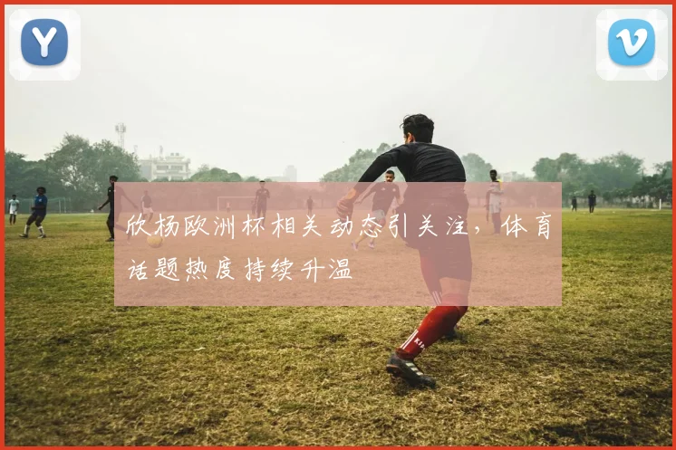 欣杨欧洲杯相关动态引关注，体育话题热度持续升温