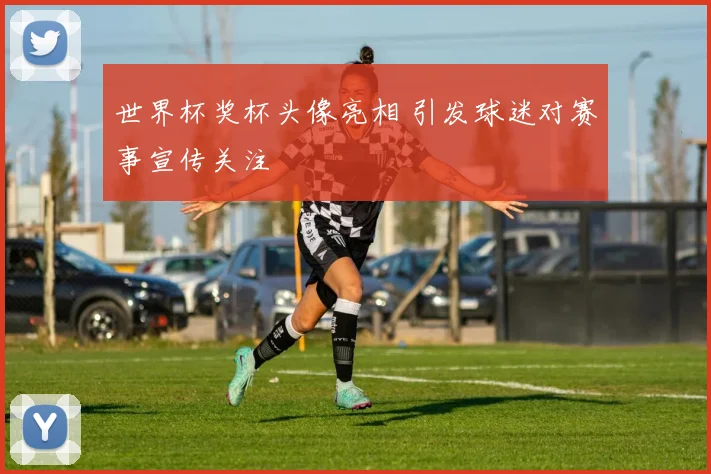 世界杯奖杯头像亮相 引发球迷对赛事宣传关注