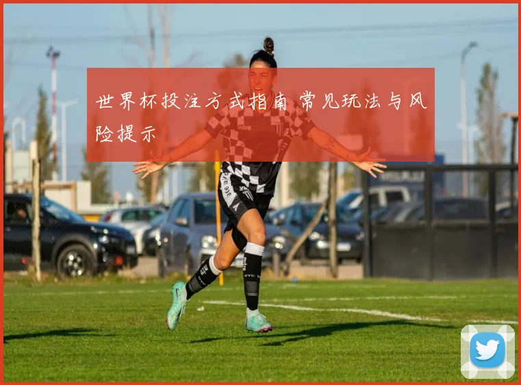 世界杯投注方式指南 常见玩法与风险提示