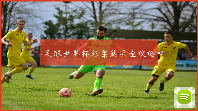 足球世界杯彩票购买全攻略
