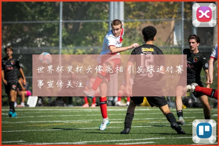 世界杯奖杯头像亮相 引发球迷对赛事宣传关注