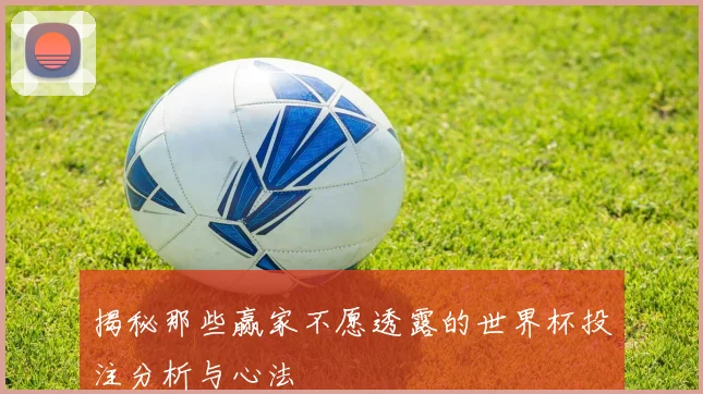 揭秘那些赢家不愿透露的世界杯投注分析与心法