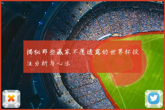 揭秘那些赢家不愿透露的世界杯投注分析与心法