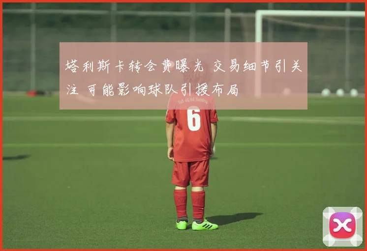 塔利斯卡转会费曝光 交易细节引关注 可能影响球队引援布局